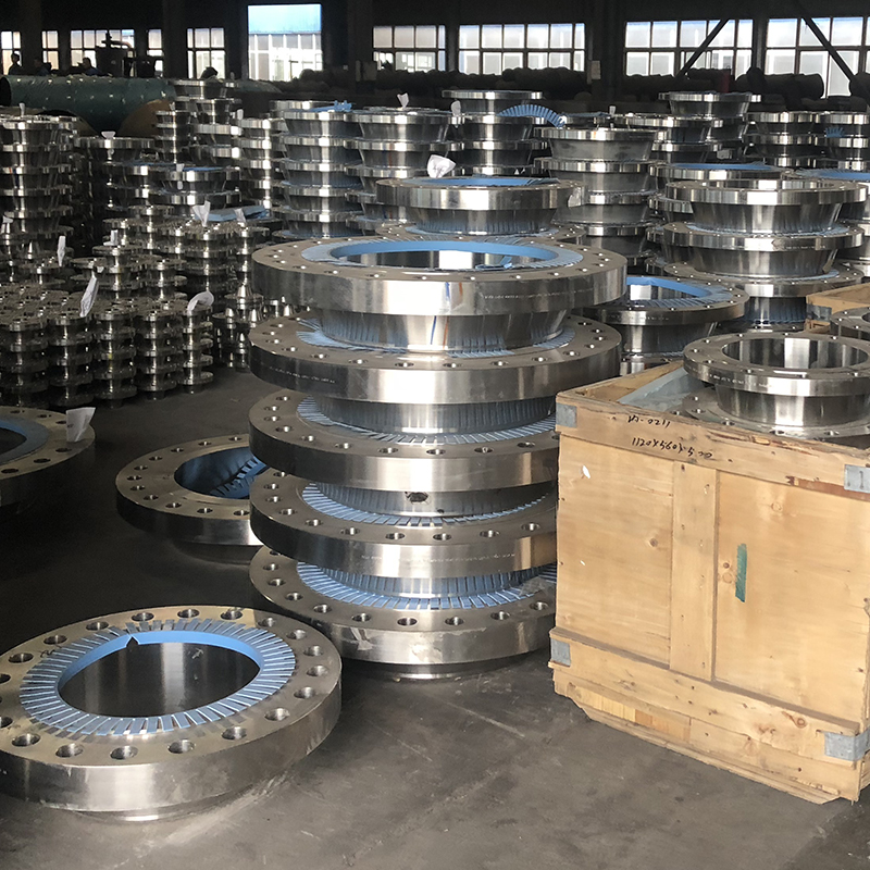 stainless steel flanges